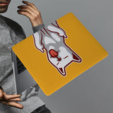 MAC-CATFUN-01-SHOW-8